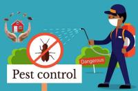 24/7 Local Pest Control image 3